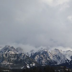 Meet your Posher, Pauline